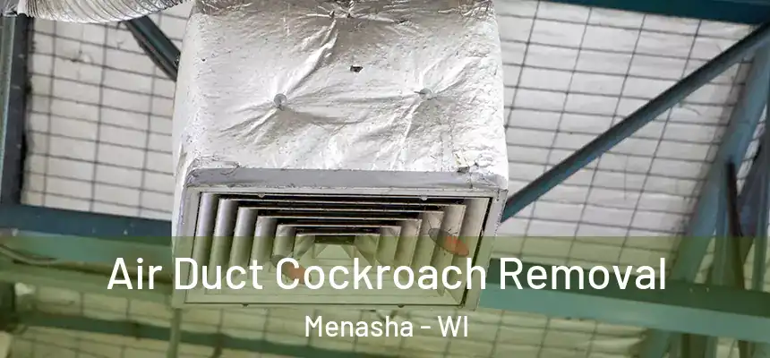  Air Duct Cockroach Removal Menasha - WI