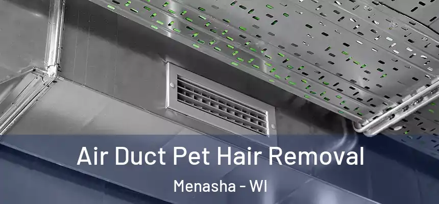  Air Duct Pet Hair Removal Menasha - WI