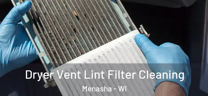  Dryer Vent Lint Filter Cleaning Menasha - WI