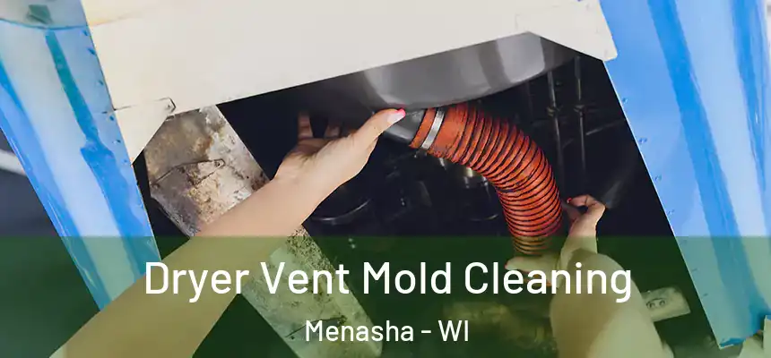  Dryer Vent Mold Cleaning Menasha - WI