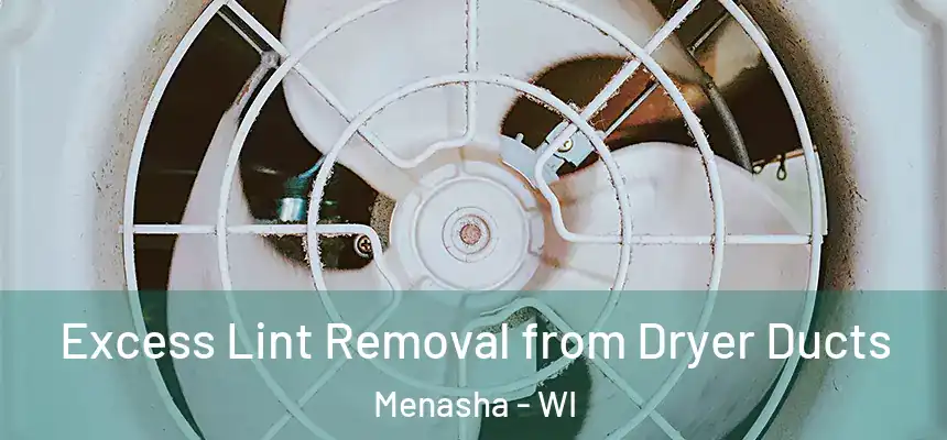  Excess Lint Removal from Dryer Ducts Menasha - WI