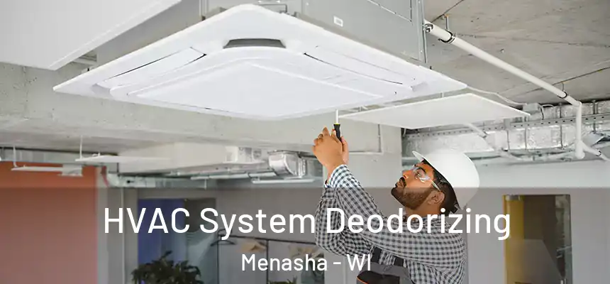  HVAC System Deodorizing Menasha - WI