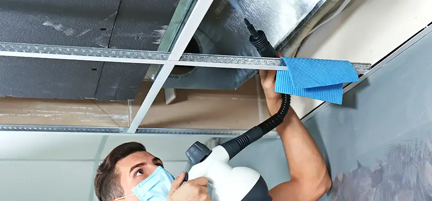 Our Air Duct Rodent Removal Services in Menasha, WI