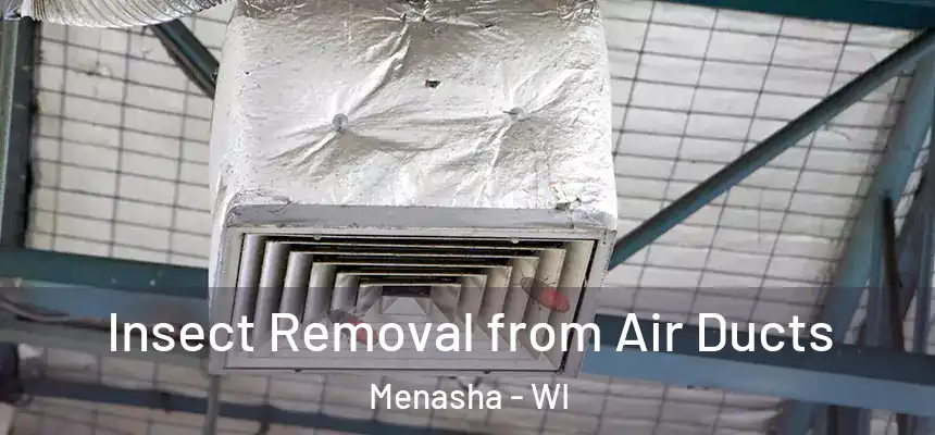  Insect Removal from Air Ducts Menasha - WI