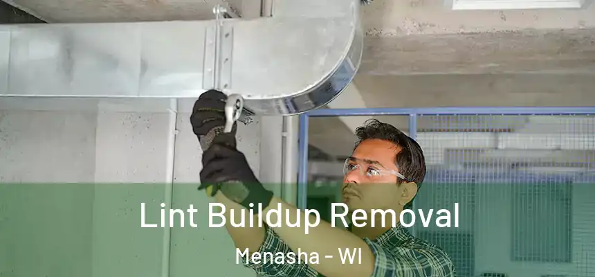  Lint Buildup Removal Menasha - WI