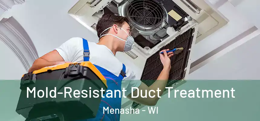  Mold-Resistant Duct Treatment Menasha - WI
