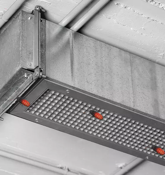 About Air Duct Cockroach Removal in Menasha, WI