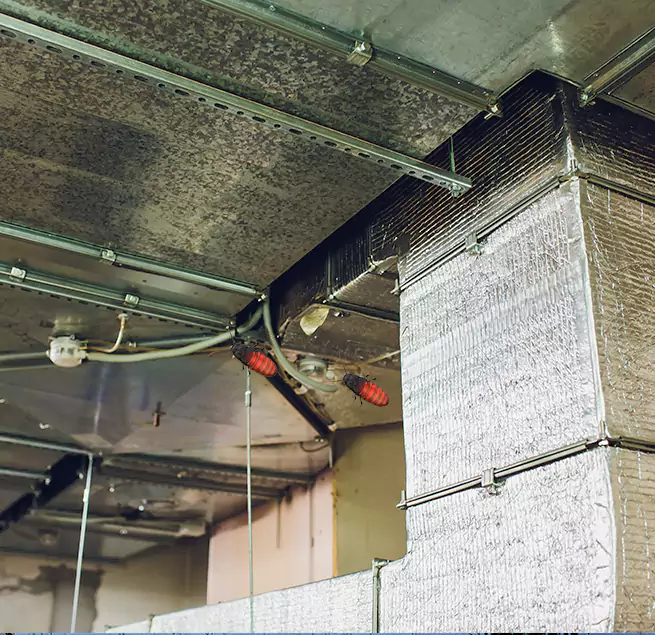 Why Homeowners & Businesses Trust Us in Menasha, WI?